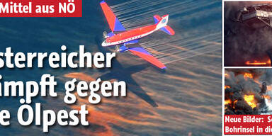 Ölvernichter aus Österreich soll helfen