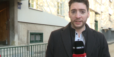 neue details willi.PNG