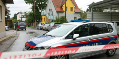 neugeborenes tot.png