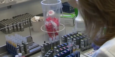 Niederlanden: Fast 8.200 Corona-Neuinfektionen