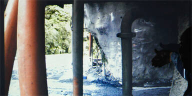 Neuseeland Mine