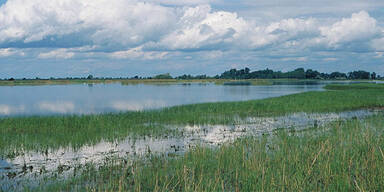 Neusiedler See