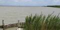 neusiedler_see