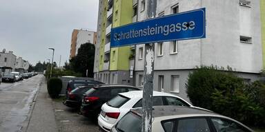 Mordversuch wiener neustadt