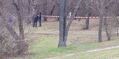Mutter fand ihre Tochter tot im Park