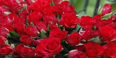 Filmtipps zum Valentinstag: romantisch, traurig, skurril