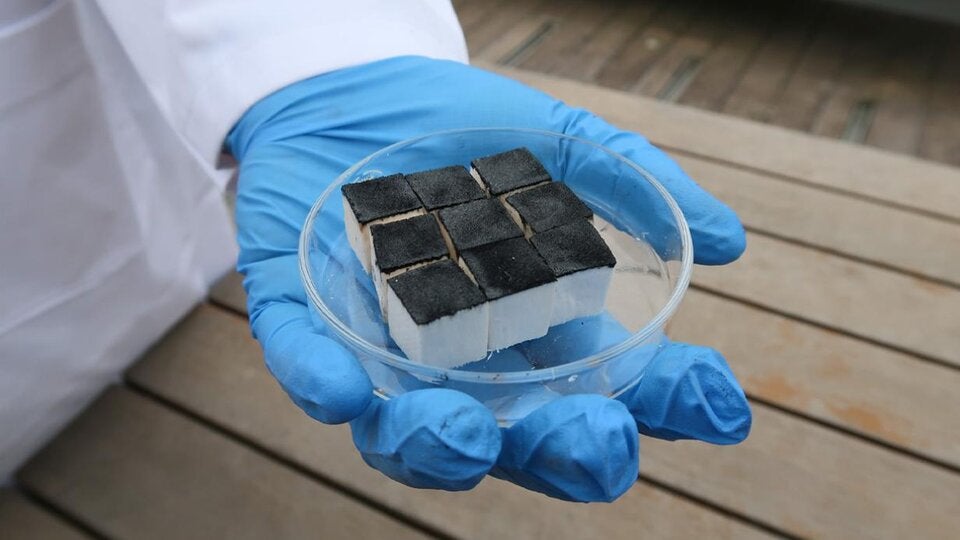 Balsaholz, Sonne und Technik: Ein neuer Weg zu sauberem Wasser. 