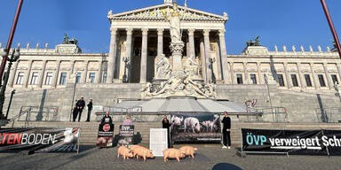 Verein gegen Tierfabriken