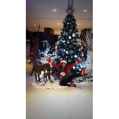 Die Stars sind schon in Weihnachts-Stimmung