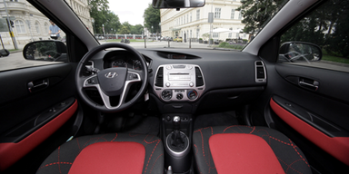 Ansehnliches City-Wiesel aus Korea