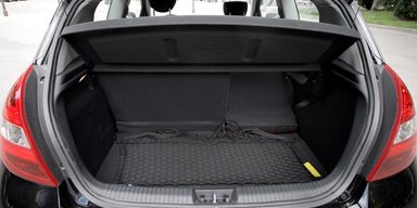 Ansehnliches City-Wiesel aus Korea