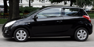 Ansehnliches City-Wiesel aus Korea