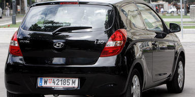 Ansehnliches City-Wiesel aus Korea