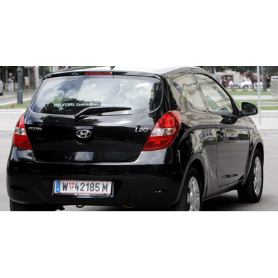 Ansehnliches City-Wiesel aus Korea