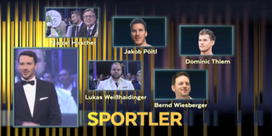 nikipreis.png