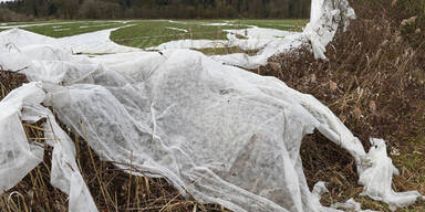 1,5 Mrd. Euro Schaden durch "Niklas"