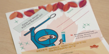 An Schulen: Der Kampf der Ninjas ist beendet!