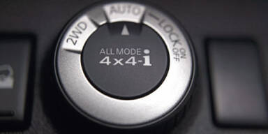 Sympathieträger im großen SUV-Allerlei