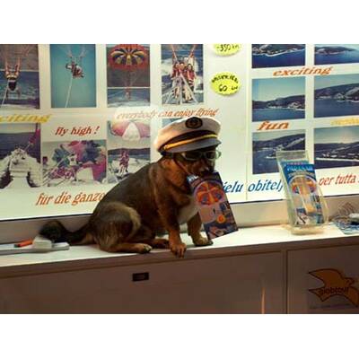 Alle lustigen Urlaubsfotos