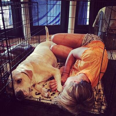 Rette sich, wer kann!