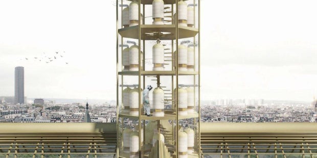 Erste Entwürfe sind da: Wird so Notre Dame aussehen?