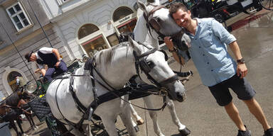 So haben Sie die Wiener Fiaker noch nie erlebt!