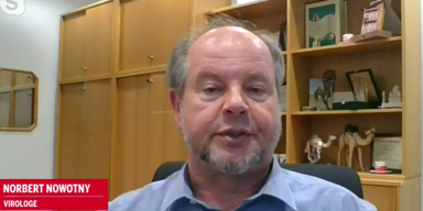 Norbert Nowotny im Skype-Interview