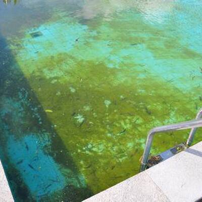 Sunna Park Hotel & Apartments in Paguera, Mallorca