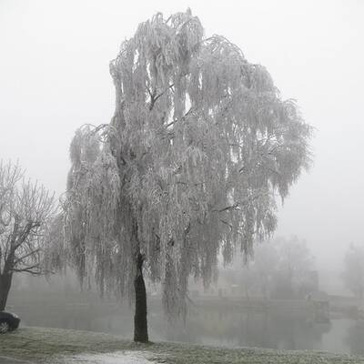 Ausnahmezustand in Ottenschlag