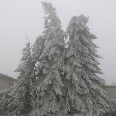 Ausnahmezustand in Ottenschlag