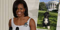 Michelle Obama, Bo