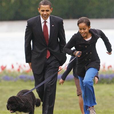 First Dog im Weißen Haus