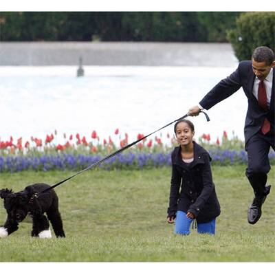 First Dog im Weißen Haus