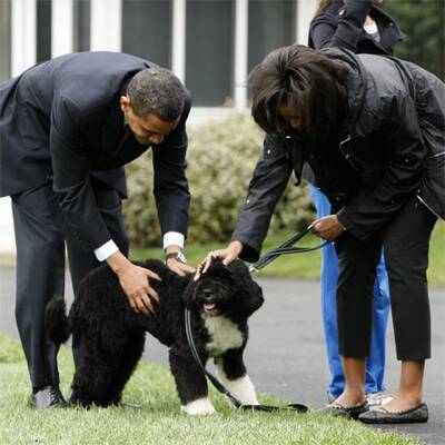 First Dog im Weißen Haus