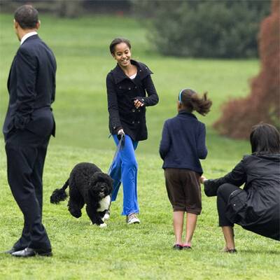 First Dog im Weißen Haus