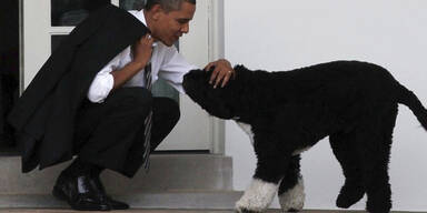 Macheten-Mann wollte Obamas Hund entf&uuml;hren