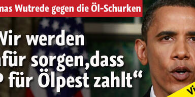 Ölpest: BP zahlt 20 Milliarden in Fonds