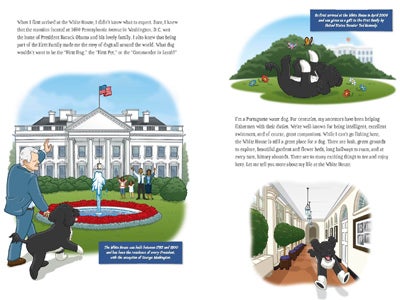 obama_buch