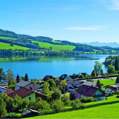 30. Alte Donau, Wien: 22°