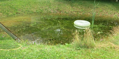 Frau stirbt nach Sturz in Gartenteich