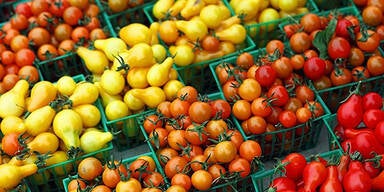 Politiker warnen vor Gift-Anschlägen in Lebensmitteln