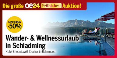 Stocker Rohrmoos Schladming - oe24 Auktion März 26 - 1203