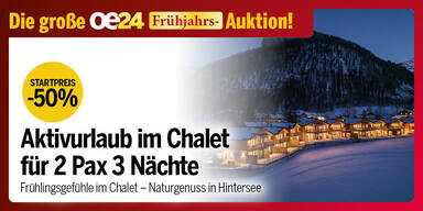 Aktivurlaub Chalet Hintersee - oe24 Auktion März 26 - 1203