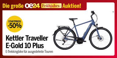 Kettler Traveller E-Bike Fahrradprofi Strudler - oe24 Auktion März 26 - 1003