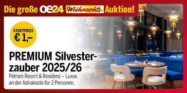 oe24 Auktion Dez 25 Silvesterzauber Petram