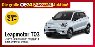 oe24.at Auktion Konsole Leapmotor T03 0212