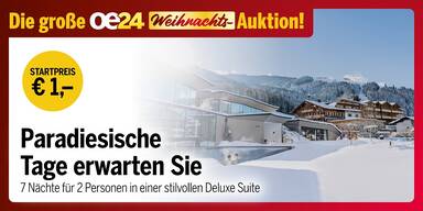 oe24.at Auktion Konsole Puradies 0212