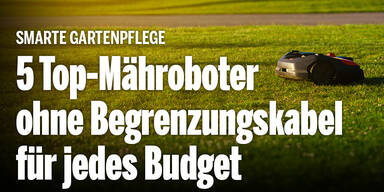 Anzeige shopping 0423 oe24