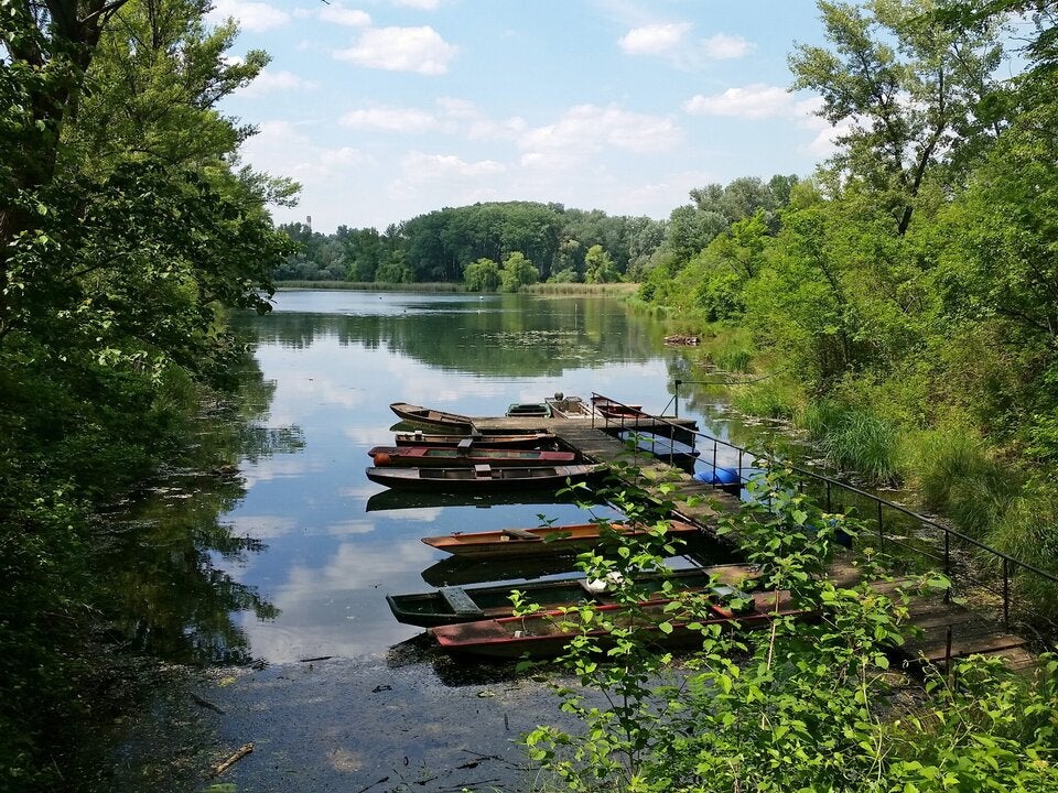 Lobau