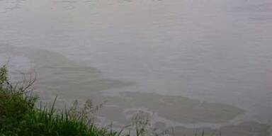 Ölfilm: Donau-Schifffahrt freigegeben